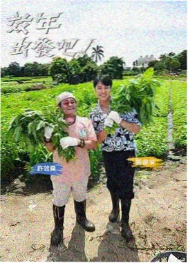 一色狗影院独立频段骑楼短片带的窄厅与巷口黑板排片表
